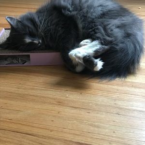 Meet your Posher, Andrea